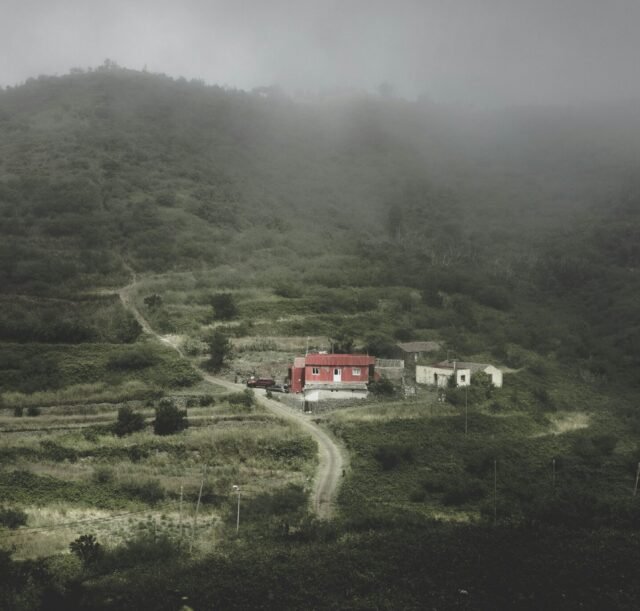 eugen-sacali-QctBFQNkIGg-unsplash