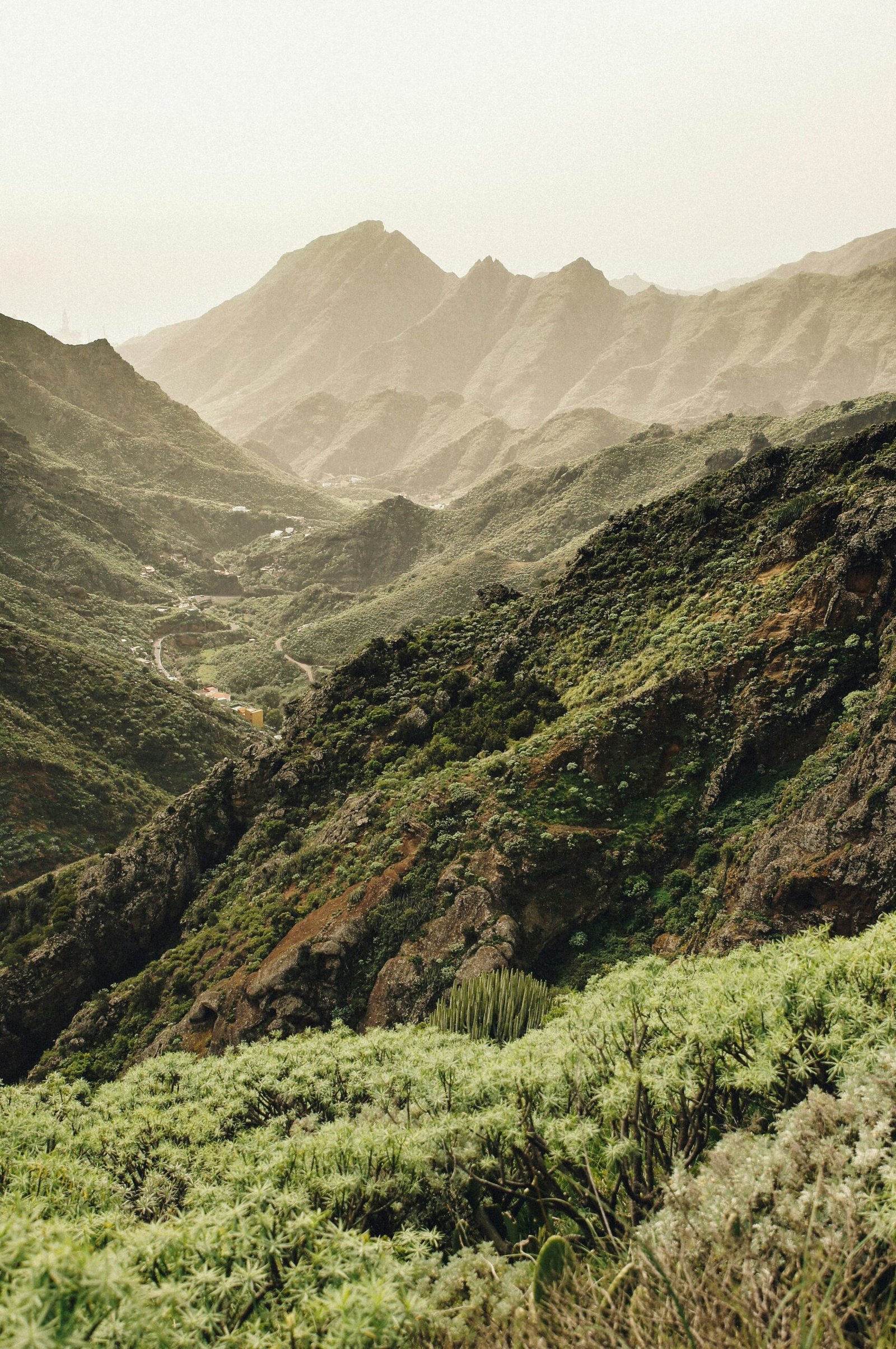 video background